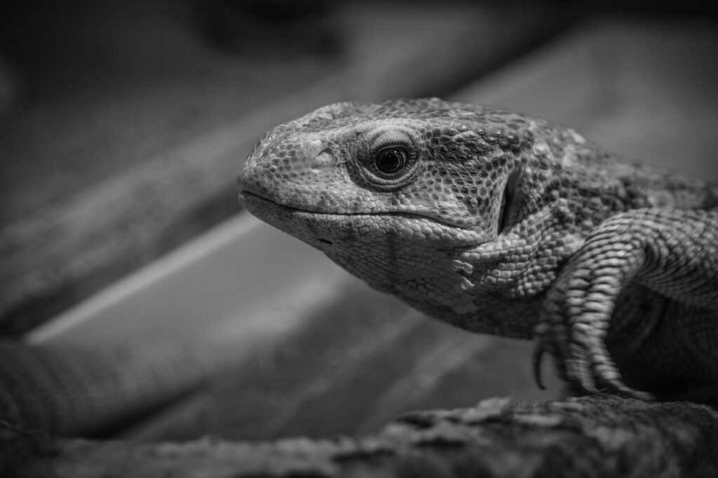 借金をゼロにする方法は本当に実現可能なのか？