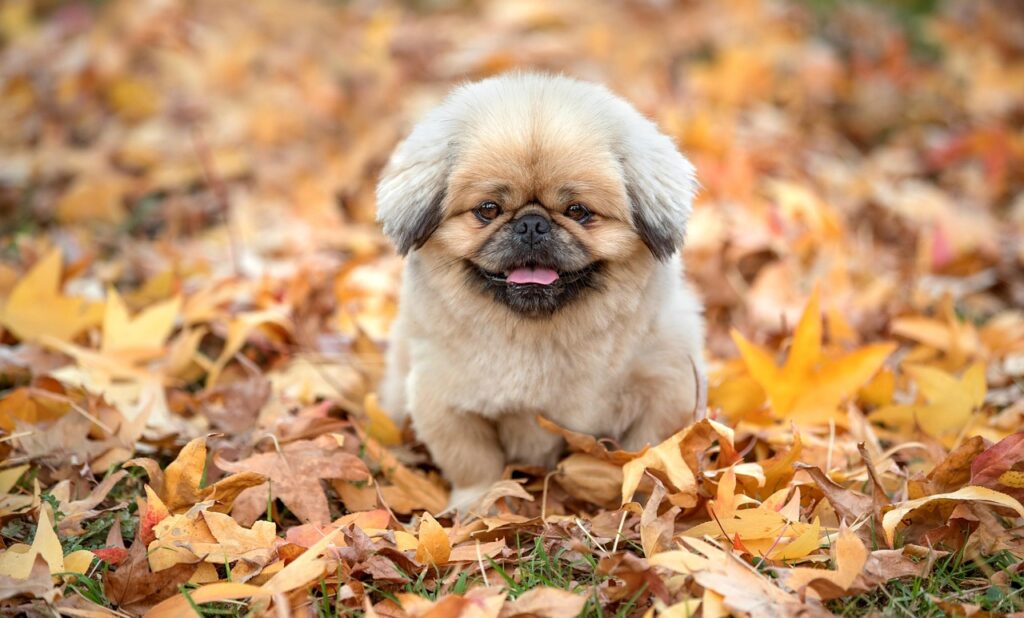 時効の援用のやり方とは？