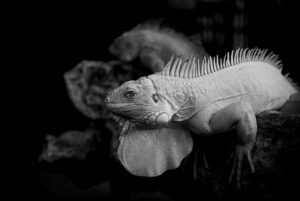 時効援用の手続きに必要な書類とは？