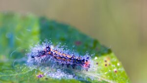 任意整理を行うと会社にバレるのは本当ですか？