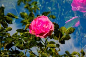 多重債務を解消するためのおまとめローンのメリットは？