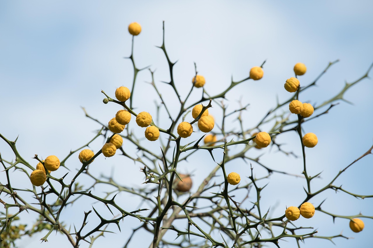 時効の援用の書き方に使えるテンプレートは？