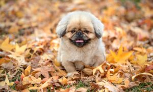 債務整理がばれる可能性はどのくらいあるのか？