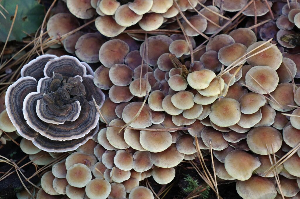 借金から得られる教訓とは何か？