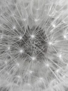 特定調停のデメリットとは？知っておくべき注意点は？