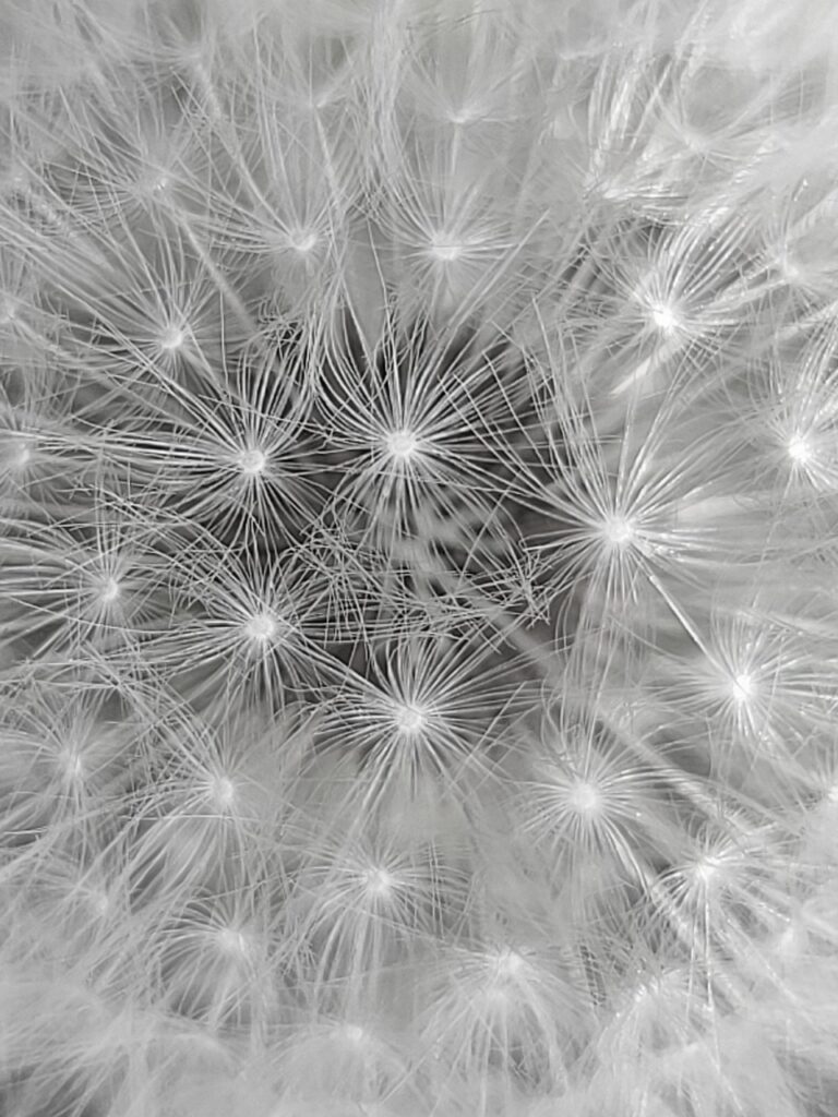 特定調停のデメリットとは？知っておくべき注意点は？