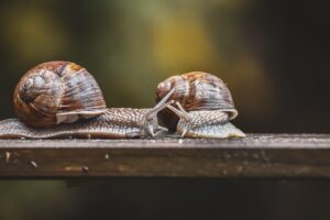 任意整理は何回もできる？その条件と注意点とは？